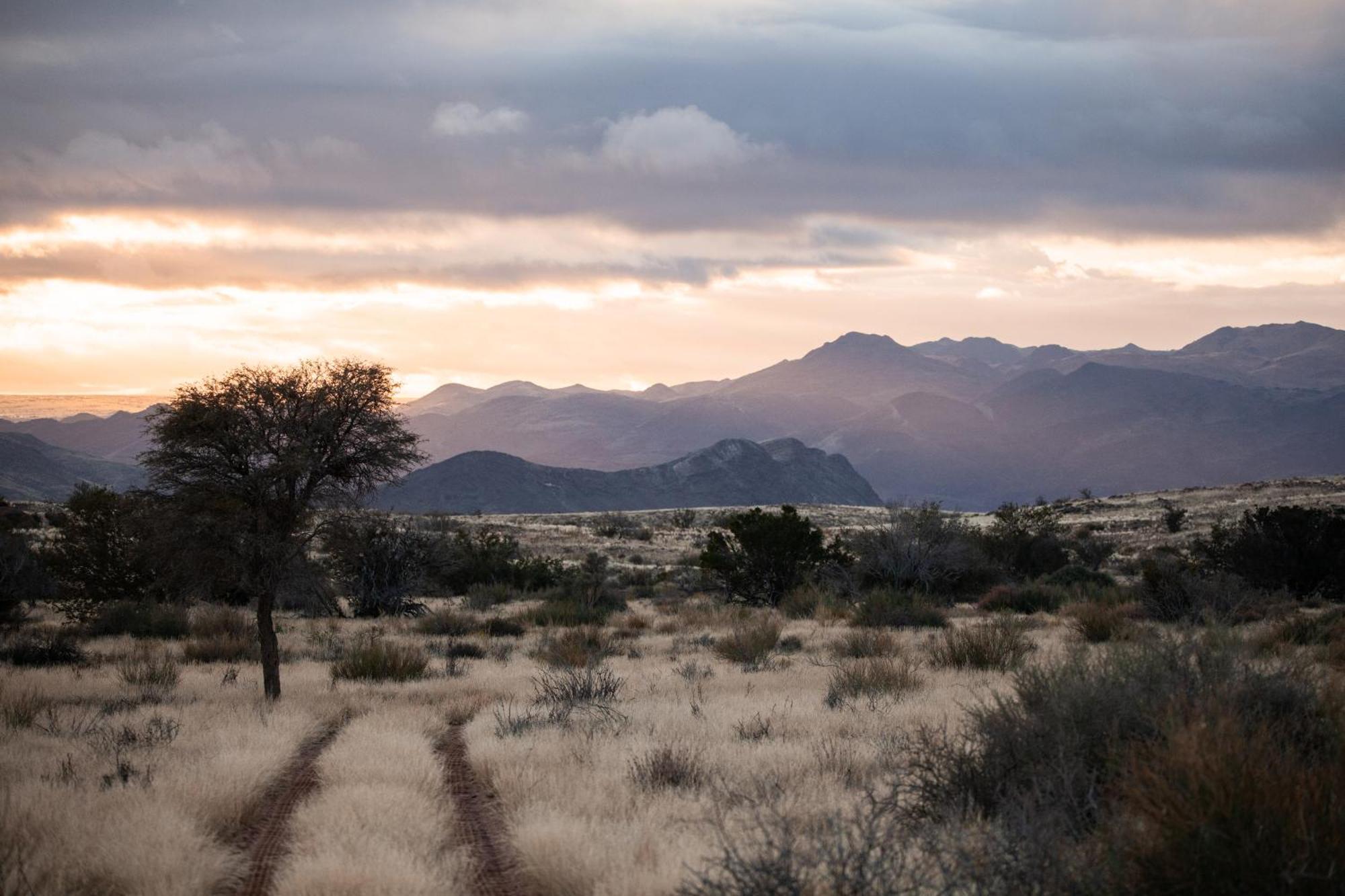 Sandfontein Lodge & Nature Reserve Εξωτερικό φωτογραφία