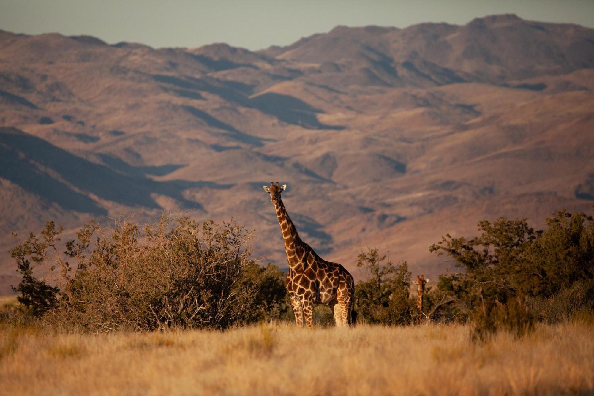Sandfontein Lodge & Nature Reserve Εξωτερικό φωτογραφία