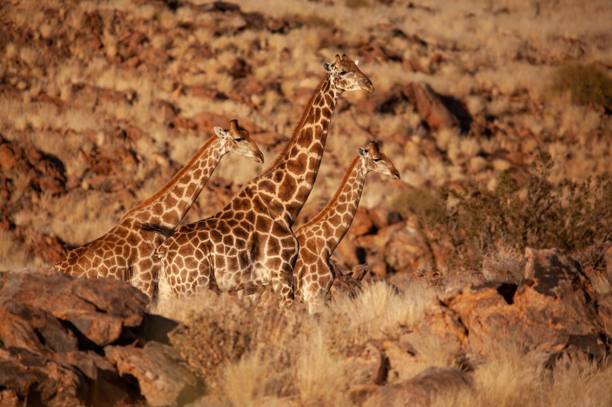 Sandfontein Lodge & Nature Reserve Εξωτερικό φωτογραφία