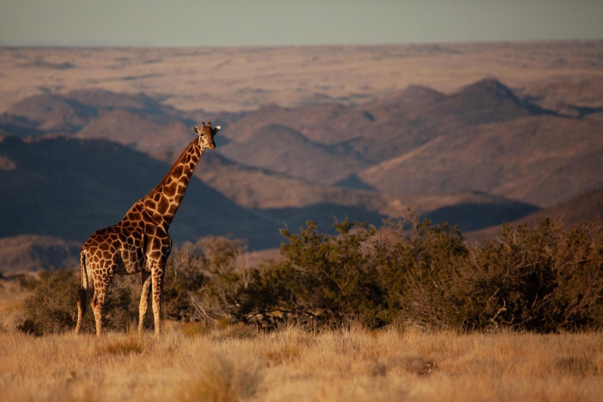 Sandfontein Lodge & Nature Reserve Εξωτερικό φωτογραφία