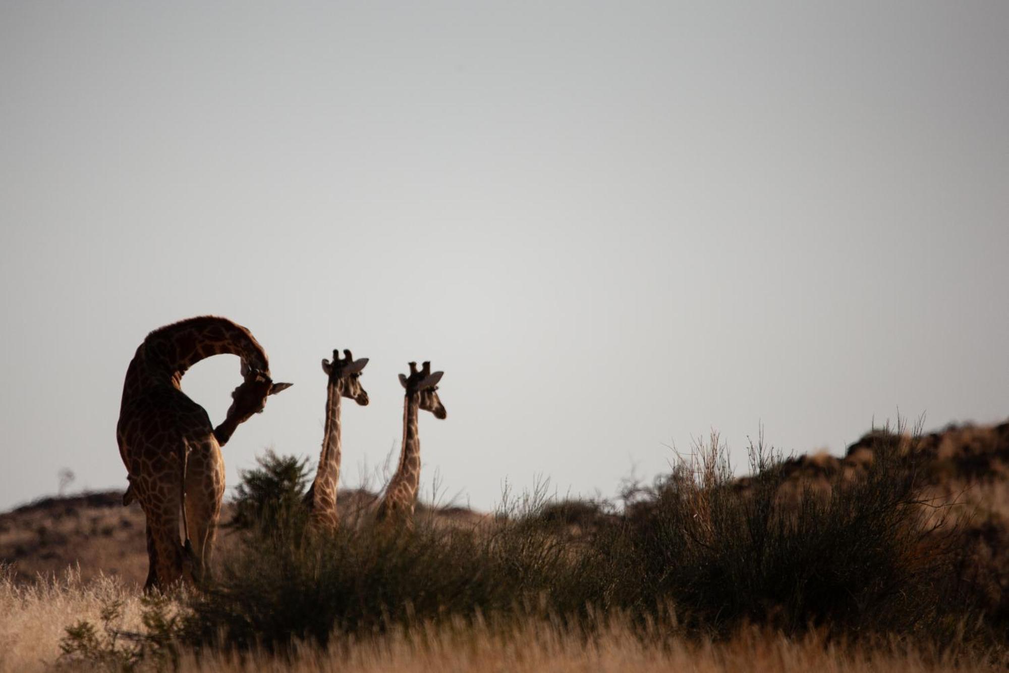 Sandfontein Lodge & Nature Reserve Εξωτερικό φωτογραφία