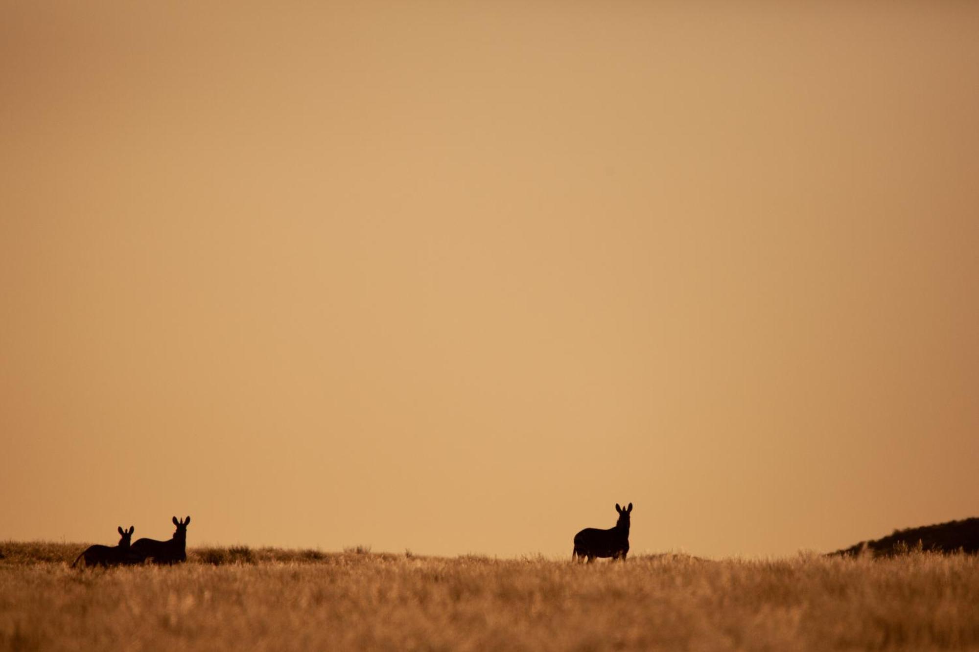Sandfontein Lodge & Nature Reserve Εξωτερικό φωτογραφία