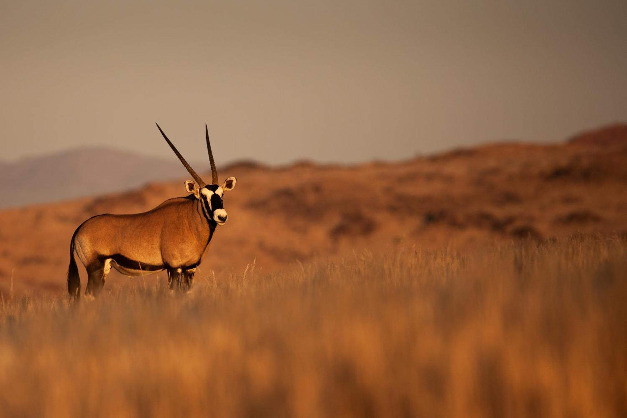 Sandfontein Lodge & Nature Reserve Εξωτερικό φωτογραφία